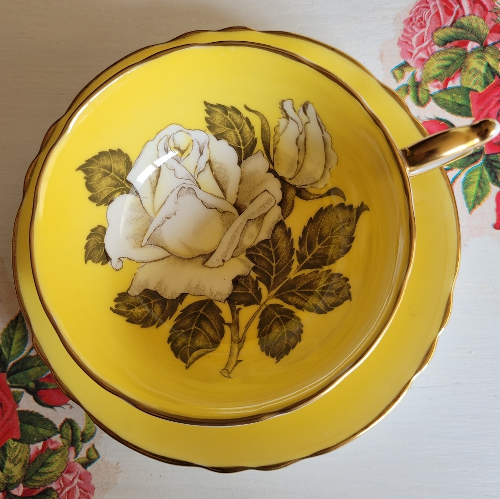 Rare Vintage Paragon White Cabbage Rose Teacup made in England